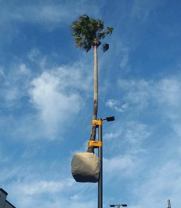 5. Так много вопросов, так мало ответов