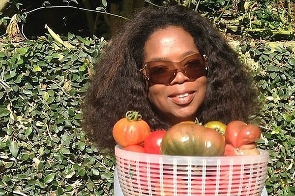 3. Если проследить за историями Кельвина в Инстаграм, можно заметить, что он занимается выращиванием овощей и фруктов, более того, у исполнителя ЦЕЛЫЙ САД! 😳