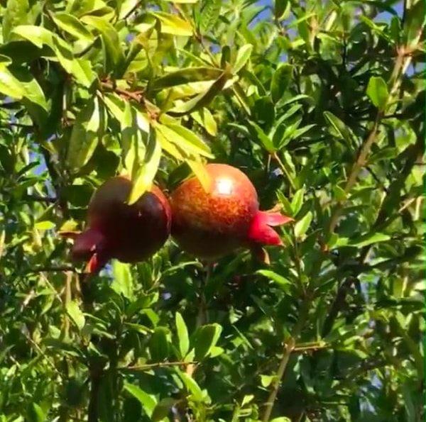 8. И вот это! Ну что, впечатлились?