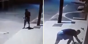 Sokakta Uyuyan Köpeğin Üstünü Örten Güzel İnsan