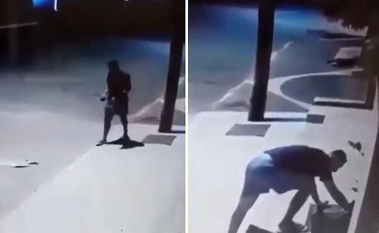 Sokakta Uyuyan Köpeğin Üstünü Örten Güzel İnsan