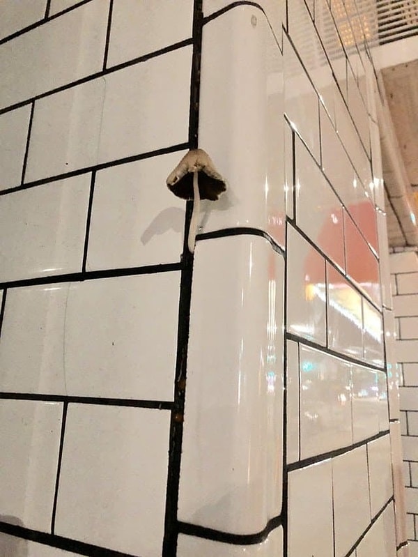 7. Непредсказуемость - вот ее главное качество!