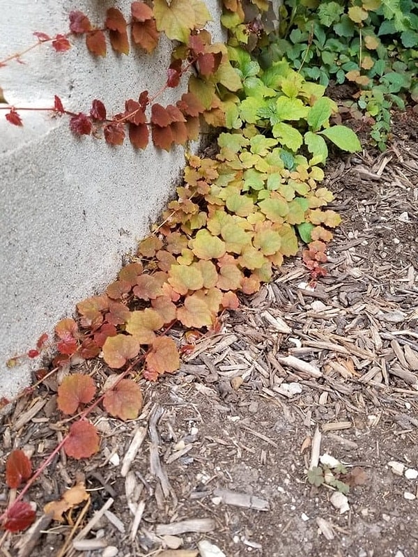 15. Красота в мелочах! Главное уметь их замечать :)