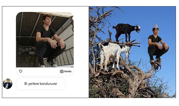 3. Хорошее общество)