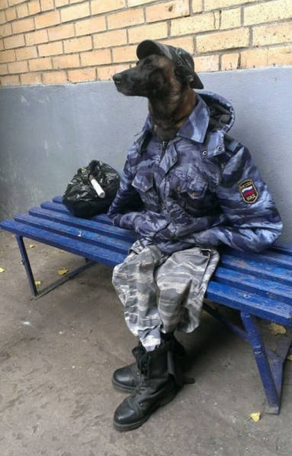 7. Суровый парень