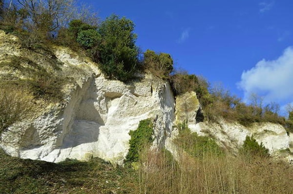 10. Мел принимали вовнутрть