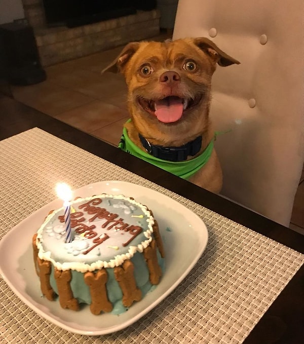 6. Обожаю сладенькое!