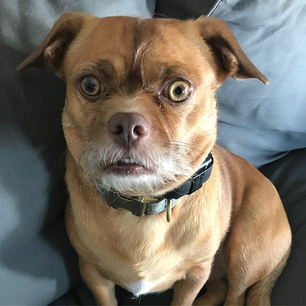 7. Понедельник после веселых выходных.