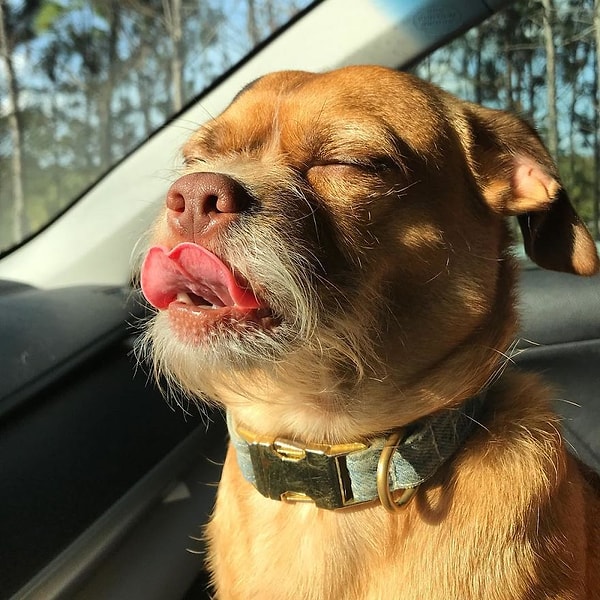 9. Мельком увидел свое отражение в зеркале и остался доволен собственным луком 😍