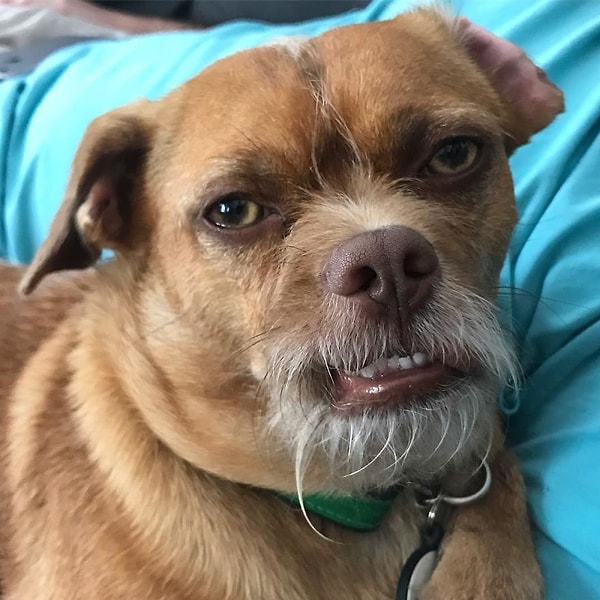 10. Предложил ей 100 разных ресторанов, а она по-прежнему не может выбрать, где поужинать.