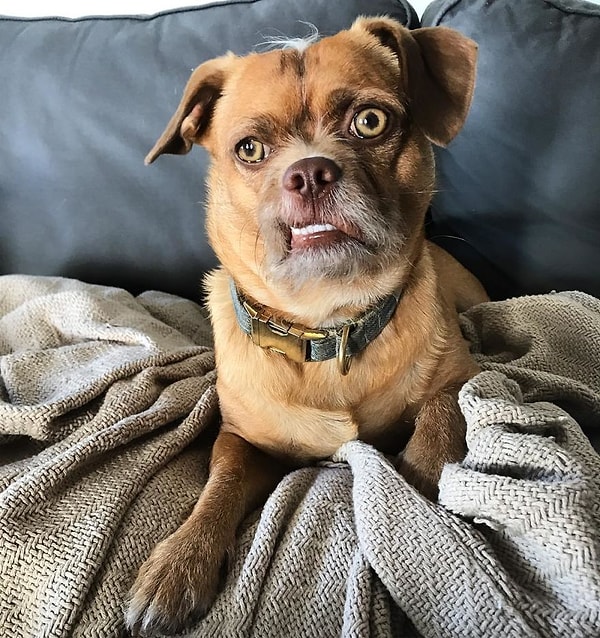 14. Мда, выходные обещают быть забойными: стирка, глажка, готовка...