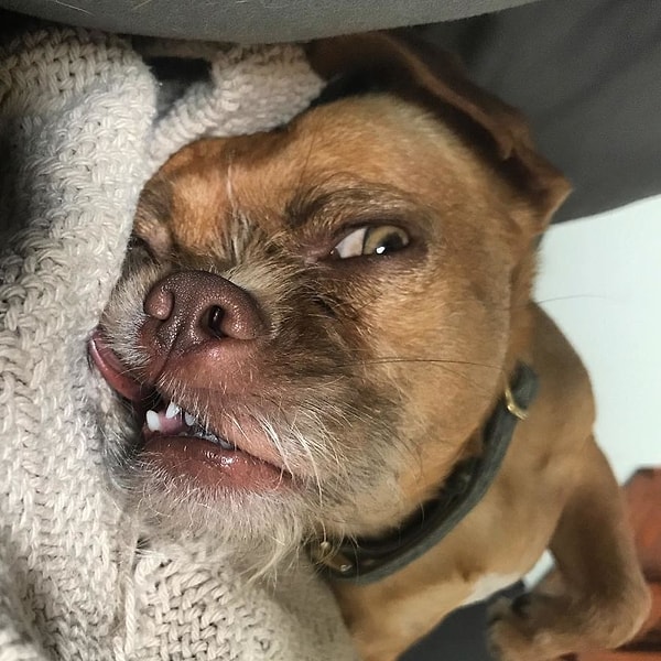 18. Похмелье в 30 уже не то, что в 20...