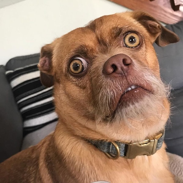 23. Не виноватая я, он сам пришел!