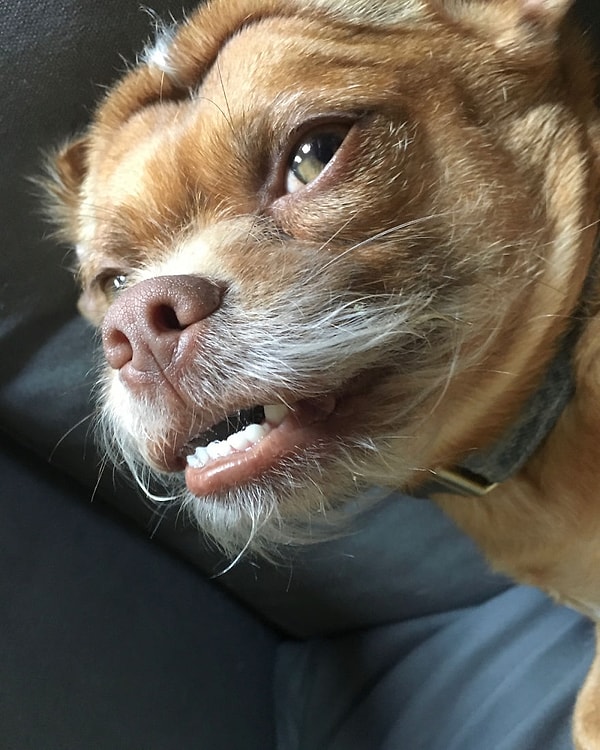 27. Сфотографируй меня так, чтобы волосы развивались.