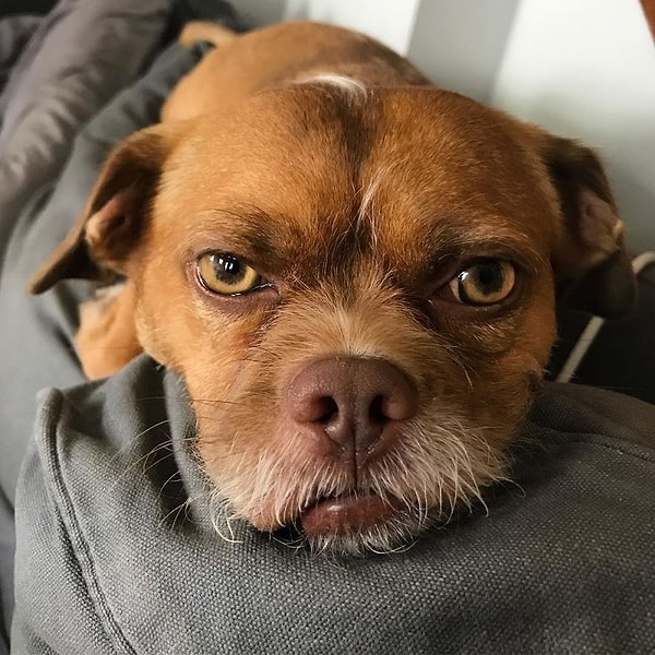 16. Мой энтузиазм и хорошее настроение в понедельник.