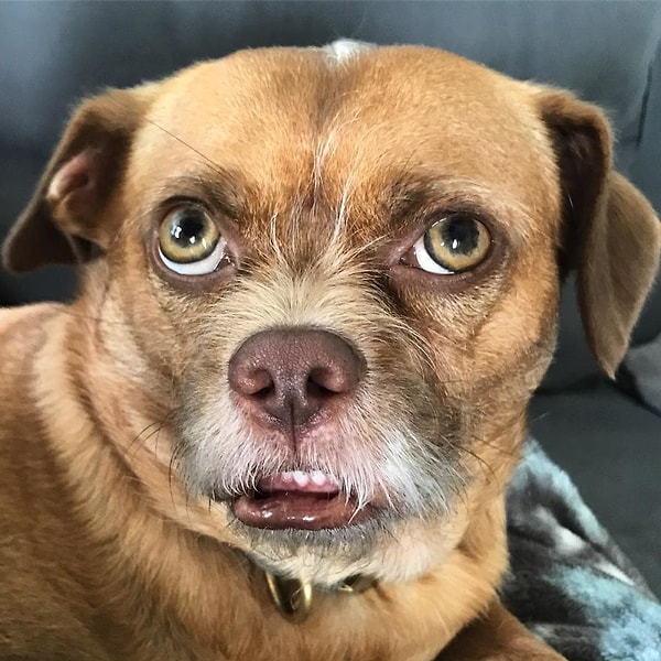 20. Если будешь корчить рожи, то таким и останешься!