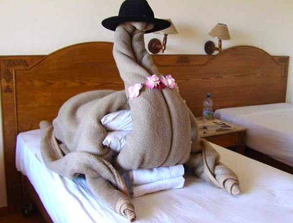 3. А вот заказ гостя, который попросил соорудить верблюда из пледа для кровати. Хотели? Получите!