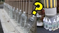 Japonya'da İnsanlar Neden Evlerinin Duvarlarına Şişe Şişe Su Diziyor?