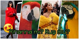 Bu Nasıl Benzerlik! 30 Fotoğrafta Kuşlara Benzetilen Güzeller Güzeli Rihanna
