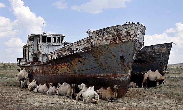 Bu nedenle balık türleri yok olurken, göl yüzeyinde oluşan “Aral Çölü” toksik maddeler ve zararlı kimyasallarla kaplanır.