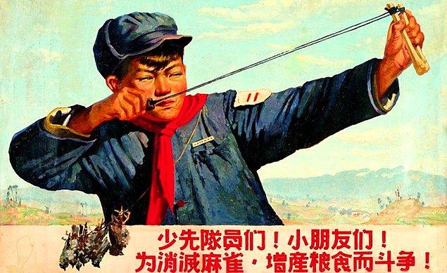1958, Çin. Ülkenin yüce lideri Mao Zedung gökyüzüne baktı ve bir kuş sürüsü gördü...