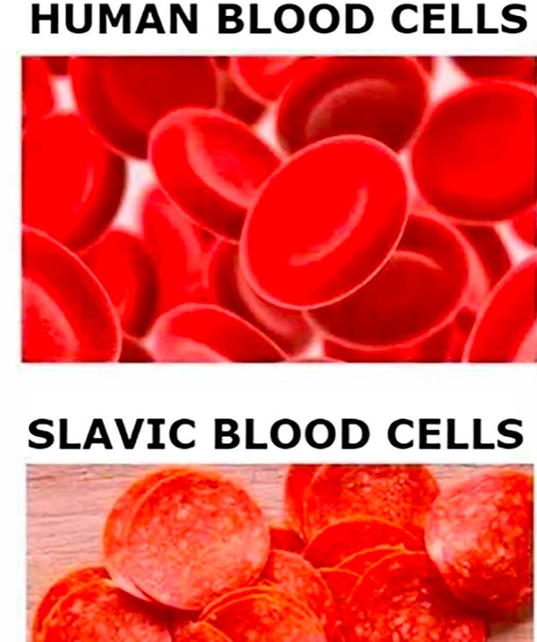 9. Клетки крови всех людей vs. клетки крови русских и славян в целом 🥩