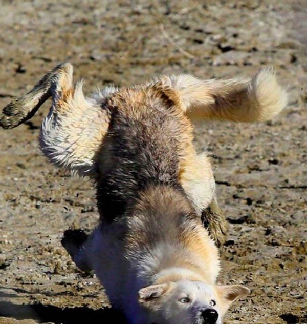 22. Кажется, на сегодня лучше закончить с кардио...