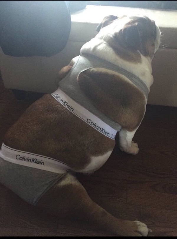 8. Когда ты сексуальный в любом одеянии...