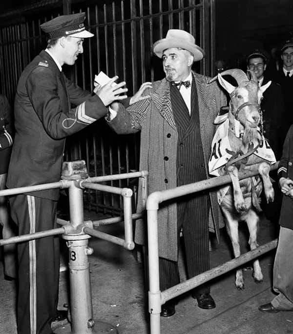 1. Кого коснулось проклятие козла Билли?