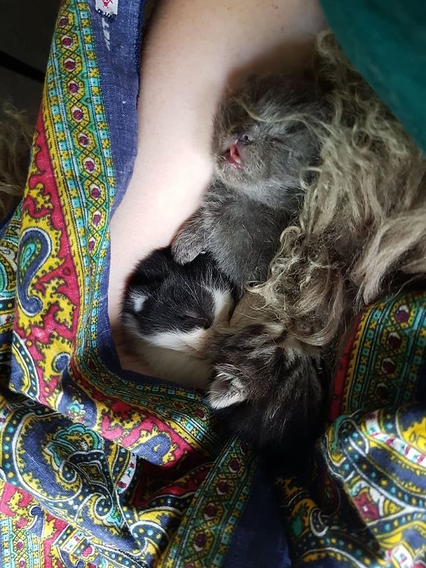 6. "И даже малыши любят пошалить..."