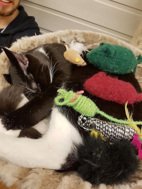 11. Иногда в эти моменты над ними очень прикольно поиздеваться!