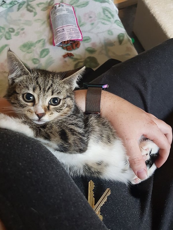 13. "Порой дружить приходится через силу, но это очень приятно!"