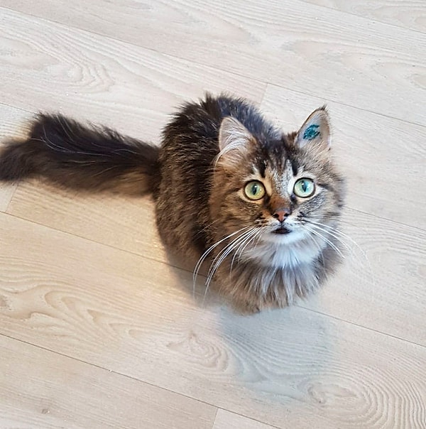 14. "Многие ооооочень любят пялиться" 😳