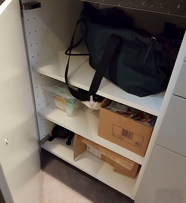 16. "Когда твои коллеги увиливают от работы" 🤔