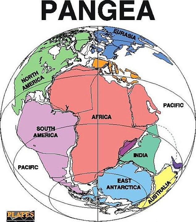 8. Pangea kıtası geri dönüyor.