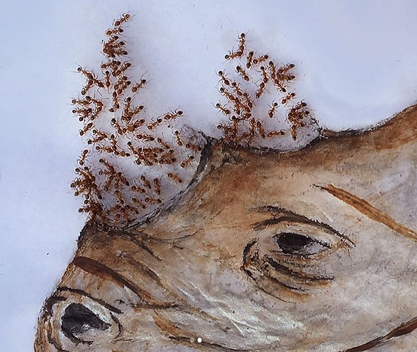 5. Детали работы