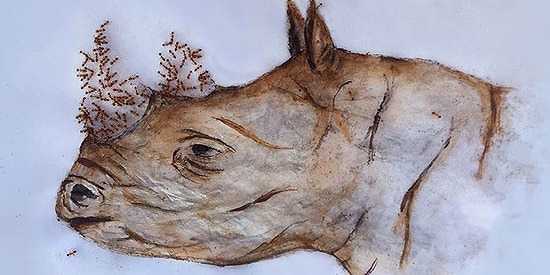 Художница из ЮАР создает шедевры при помощи муравьев