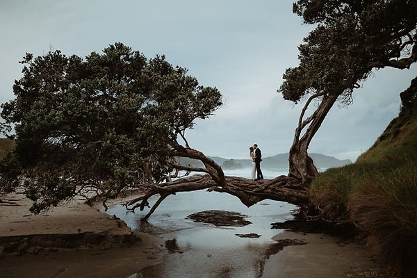 28. Нортленд, Новая Зеландия