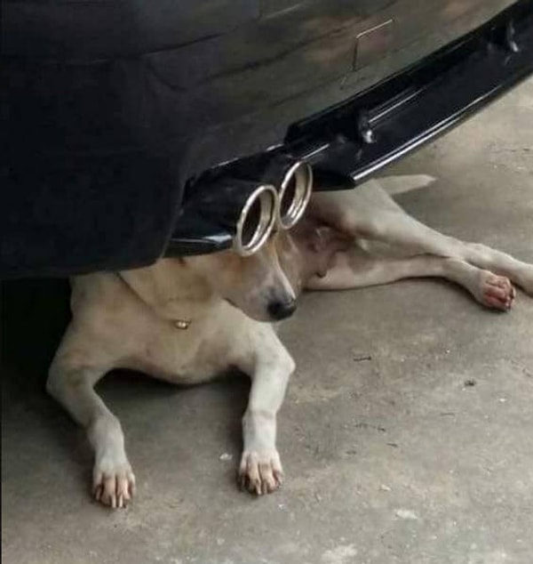 16. Бабушка, почему у тебя такие большие глаза?