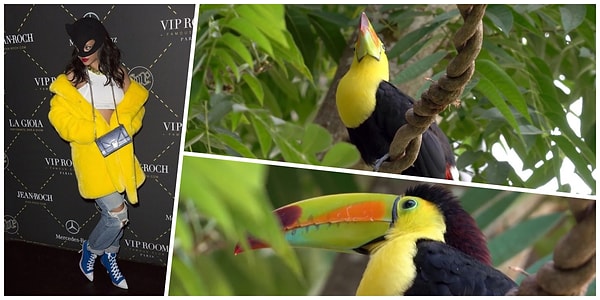 3. Желтенькая 😂