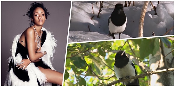 4. Черно-беленькая.