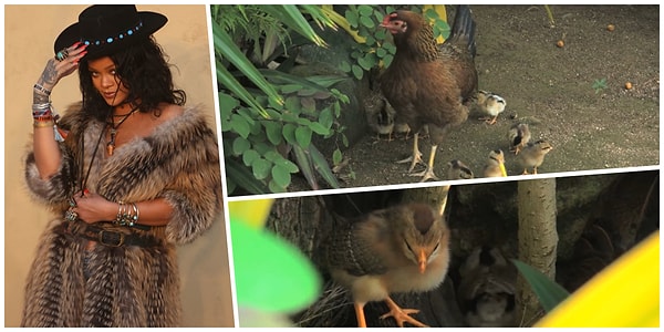 5. Коричневенькая 🦃