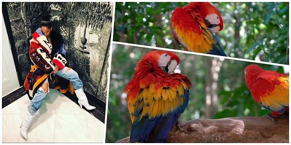 6. Красно-желто-синенькая 😂