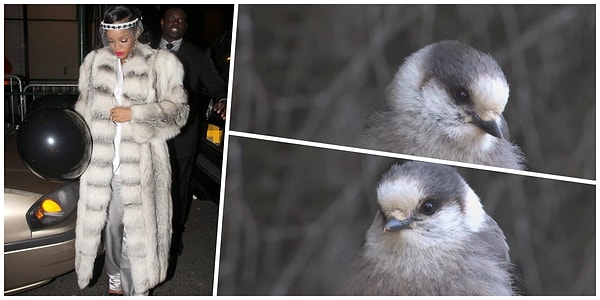 7. Беленькая.