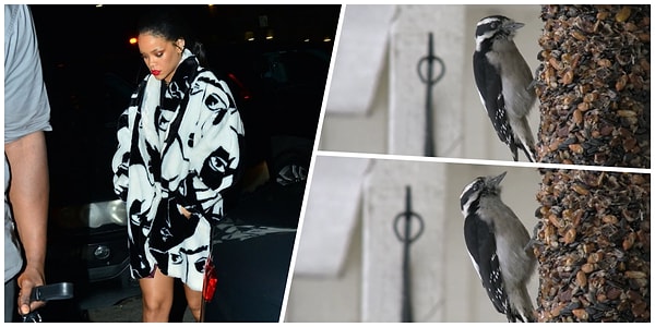 9. Опять черно-беленькая 🐤