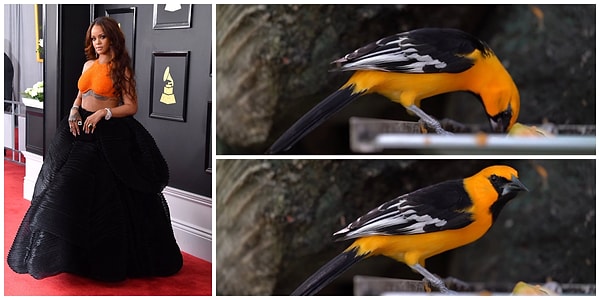 10. Оранжево-черная 😍