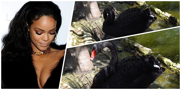 13. Снова черненькая.