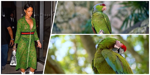 20. Изумрудная 😂