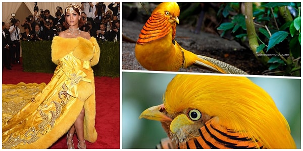 23. Апельсиновая 😂