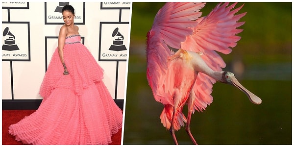 24. Розовенькая.